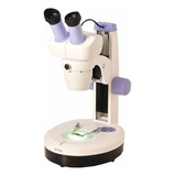 Microscópio Estereoscópio Binocular Tim 30 2 Anos De Garan