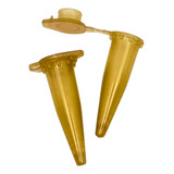 Dourado