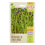 Microverdes De Cebola Durga Sementes Isla S Agrotóxicos