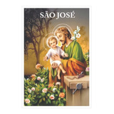 Milheiro Santinho Sao Jose