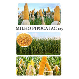 Plantio