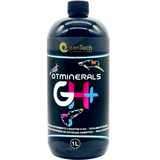 1l