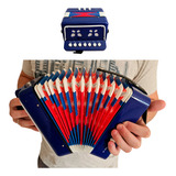 Mini Acordeon Infantil Sanfona