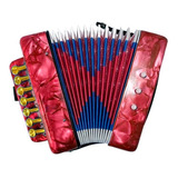 Mini Acordeon Sanfona Infantil