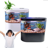 Mini Aquario Compacto Beteira