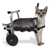 Mini Cadeira Rodas Cão Cachorro Gato Pequeno Filhote Até 2kg