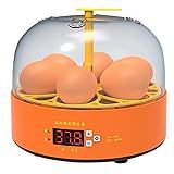 Mini Chocadeira Incubadora Lorben Semi Automática Ovos Galinha Pato