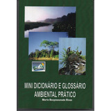 Mini Dicionario E Glossario