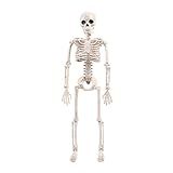 Mini Esqueleto Humano Newmind  Articulado