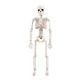 Mini Esqueleto Humano Newmind Articulado 40 Cm