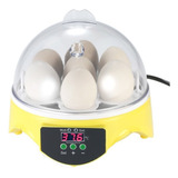Mini Incubadora De Ovos Mini Incubadora De Ovos De 7 Ovos 