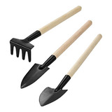 Mini Kit Jardinagem 3 Peças Plantas Naturais Suculenta Cacto