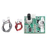 Mini Modulo Amplificador Mono
