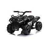 Mini Moto Quadriciclo Elétrico 6v Infantil Baby Style -Preto-