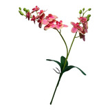 Flor