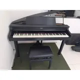 Mini Piano De Cauda