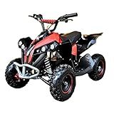 Mini Quadriciclo Motorizado 49cc