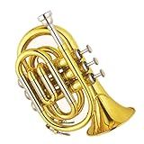 Mini Trompete De Bolso Laca Dourada Bb Tone Travel Trumpet Instrumento De Latão Para Iniciantes BolsoTrompete