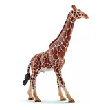 Miniatura Animal Girafa Reticulada