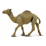 Miniatura Camelo Dromedário Safari