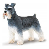 Miniatura Cao Schnauzer Safari