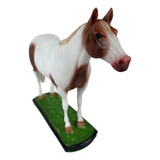 Miniatura De Cavalo Paint Horse Para