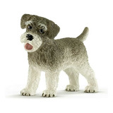 Miniatura Do Cão Schnauzer Cachorro Dog