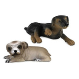 Miniatura Figuras Colecionáveis Cães De Raça