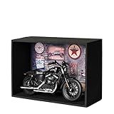 Miniatura Harley-Davidson Sportster Iron 883 Kit Expositor