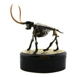 Miniatura Modelo Fossil Realistico