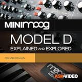 Minimoog Model D Intro Course By