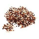 Mix De Quinua Quinoa Grãos Wenutri 250g
