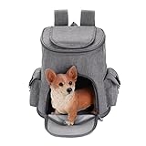 Mochila Para Estimação Mochila Respirável Visual Pet Carrier Dog Caminhadas Portador Mochila Para Cães