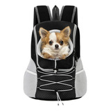 Cachorr