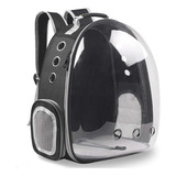 Mochila Petventure Leve Seu Gato Para Todas As Aventuras