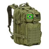 Cargueira
