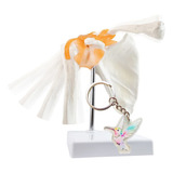 Modelo Anatomico De Articulacao