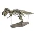 Modelo De Esqueleto De Dinossauro Conjunto De Fósseis De