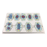 Modelo Demonstrativo Da Mitoses Ampliado 10 000x Com 9 Peças