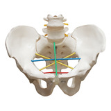 Fisioterapia