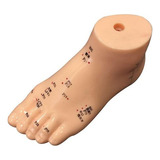 Ligamentos