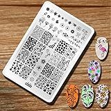 Modelos De Carimbos De Unhas De Folha De Flores Estampa Artística Com Design De Margarida E Flamingo Placas De Unha De Imagem De Metal Para Kit De Decoração Faça Você Mesmo Molde