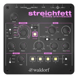 Modulo Waldorf Streichffet Sintetizador Strings Polifônico