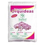 Mogifertil Substrato Para Orquídeas 1Kg   Casca De Pinus  Carvão Vegetal E Chip De Coco