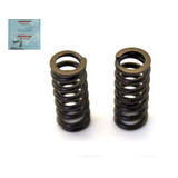 Mola Engrenagem Do Balanceiro Da Titan 150 160 Original Par