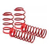 Mola Esportiva Rc 955 Red Coil Polo virtus Gts 2019 