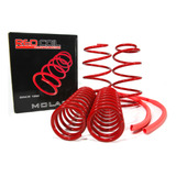 Mola Esportiva Red Coil