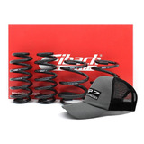 Molas Eibach Pro kit