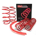 Molas Esportivas Red Coil