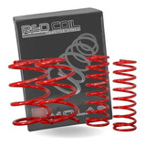 Molas Esportivas Red Coil